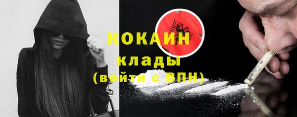 твердый Вяземский