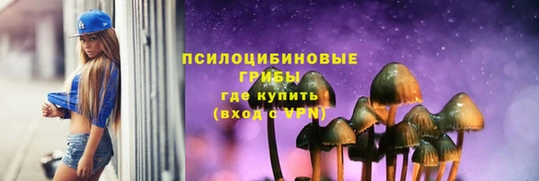 соль ск Вязьма