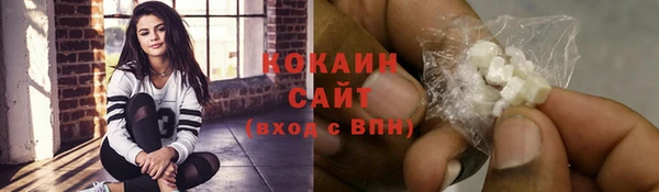 твердый Вяземский