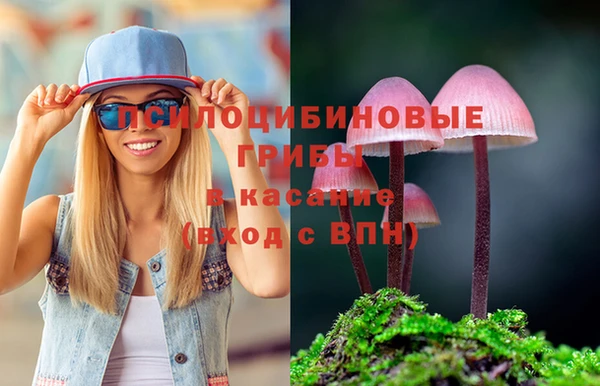 соль ск Вязьма
