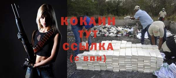 mdpv Горняк