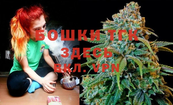 твердый Вяземский
