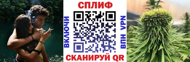 Каннабис OG Kush где продают Заволжье